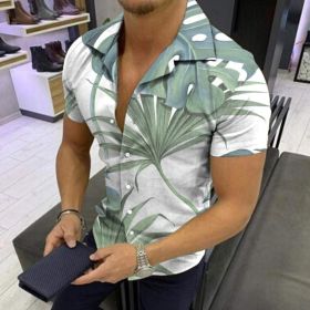 European and American New Men's Casual Shirts Short Sleeve 3D Digital Printing Hawaiian Style Shirts (Color: As shown, size: M)